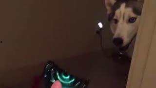 主人调教视频国产,从调教视频看国产崛起之路